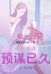 Meeting by Chance, Planned for a Long Time