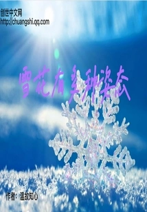 Snowflakes Come in Many Forms