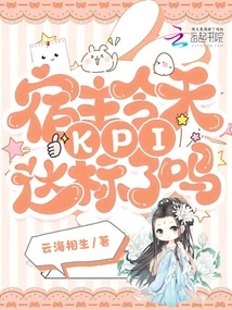 Has the Host's Kpi Met the Standard Today?