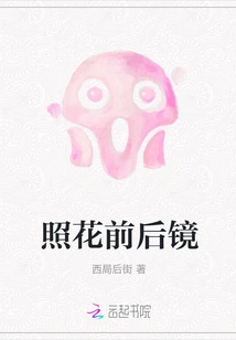 Front and Rear Mirror