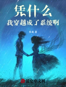 Why Did I Travel Through Time and Become a System?