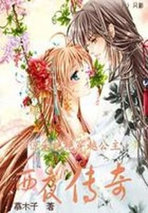 The Stunning Time-travel Princess: the Legend of the Western Night