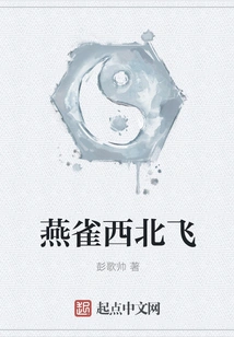 Chaffinch Flies Northwest