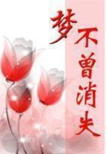 The Dream Never Disappears