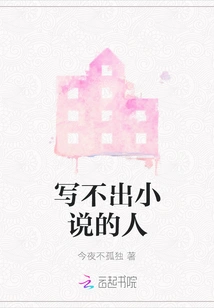 People Who Can't Write Novels