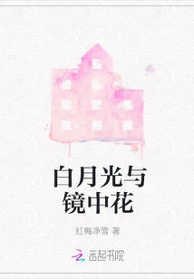 White Moonlight and Flowers in the Mirror