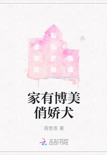 There is a Beautiful Pomeranian Dog at Home