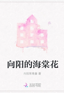 Sunny Begonia Flower