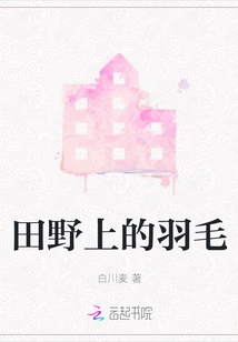 Feathers on the Field