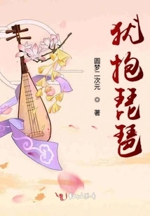 Still Holding the Pipa