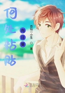 Where to Stick Sunflowers