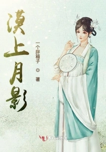 Moon Shadow on the Desert