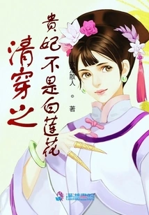 The Imperial Concubine of the Qing Dynasty is Not a White Lotus