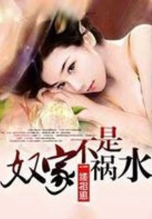 The Slave Family is Not a Disaster