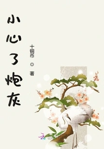 Be Careful, Cannon Fodder