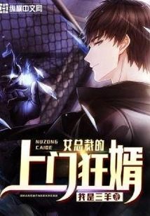 The Crazy Son-in-law of the Female Ceo