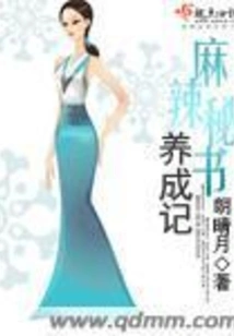 The Development of a Spicy Secretary