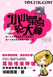 Little Rookie Wheel Master