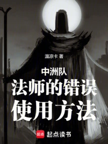 Wrong Ways to Use the Mage of the Central Continent Team