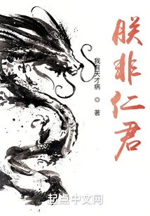 I Am Not a Benevolent King