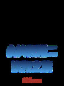 Yong's Infinite Two-dimensional Journey