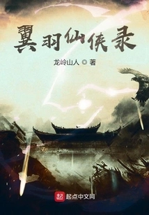 Wing Feather Fairy Record