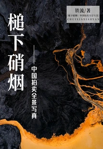 Fire under the Hammer: a Panoramic Photo of China's Auctions