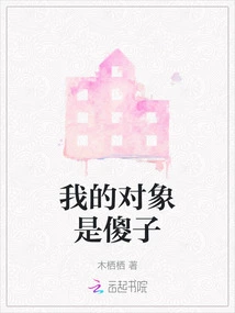 My Partner is a Fool