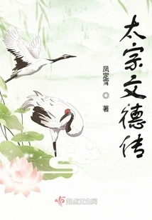 Taizong Wende Biography