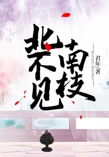 No South Branch Visible in the North