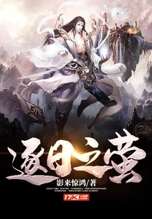 Fireflies Chasing the Sun