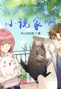 I'm Really Just a Novelist