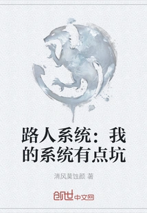 Passerby System: My System is a Bit Buggy