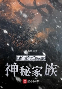 Harry Potter: the Mysterious Family