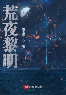 Desolate Night and Dawn