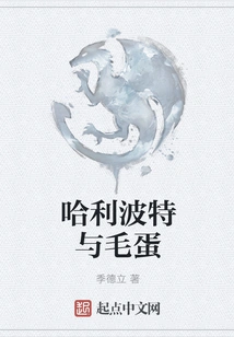 Harry Potter and Turtle