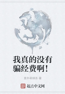 I Really Didn't Cheat on the Funds!