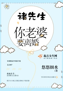 Mr. Chu, Your Wife Wants a Divorce