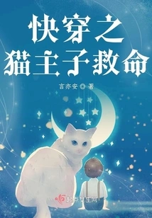 Quick Travel Cat Master Helps