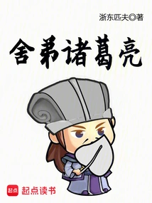 Brother Zhuge Liang