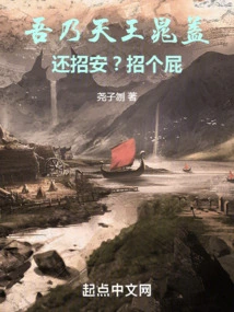 I Am the King of Heaven, Chao Gai, How Can I Still Recruit You? Damn It!