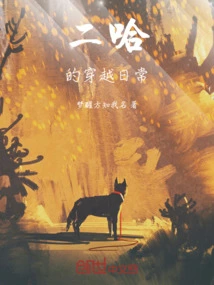 Erha's Daily Time Travel