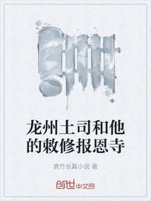 The Chieftain of Longzhou and His Imperial Reconstruction of Baoen Temple