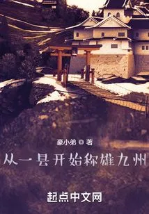 Dominate Kyushu from One County