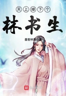 Scholar Lin Fell from the Sky