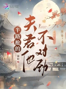 There's Something Wrong with Him Who Snatched His Husband Halfway