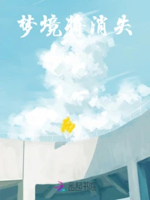 The Dream Will Disappear