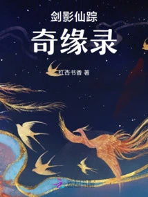 The Wizard of Sword and Shadow: Romance Record