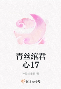 Qing Si Wan Jun Xin 17