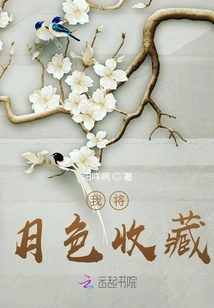 I Collect the Moonlight